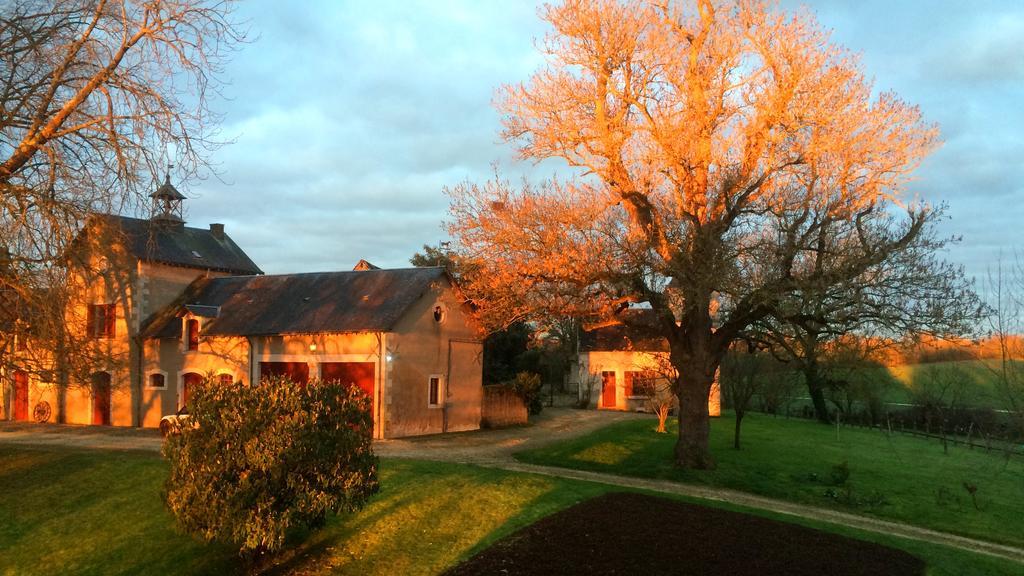 B&B Chateau De Preuil Vallenay Exterior photo