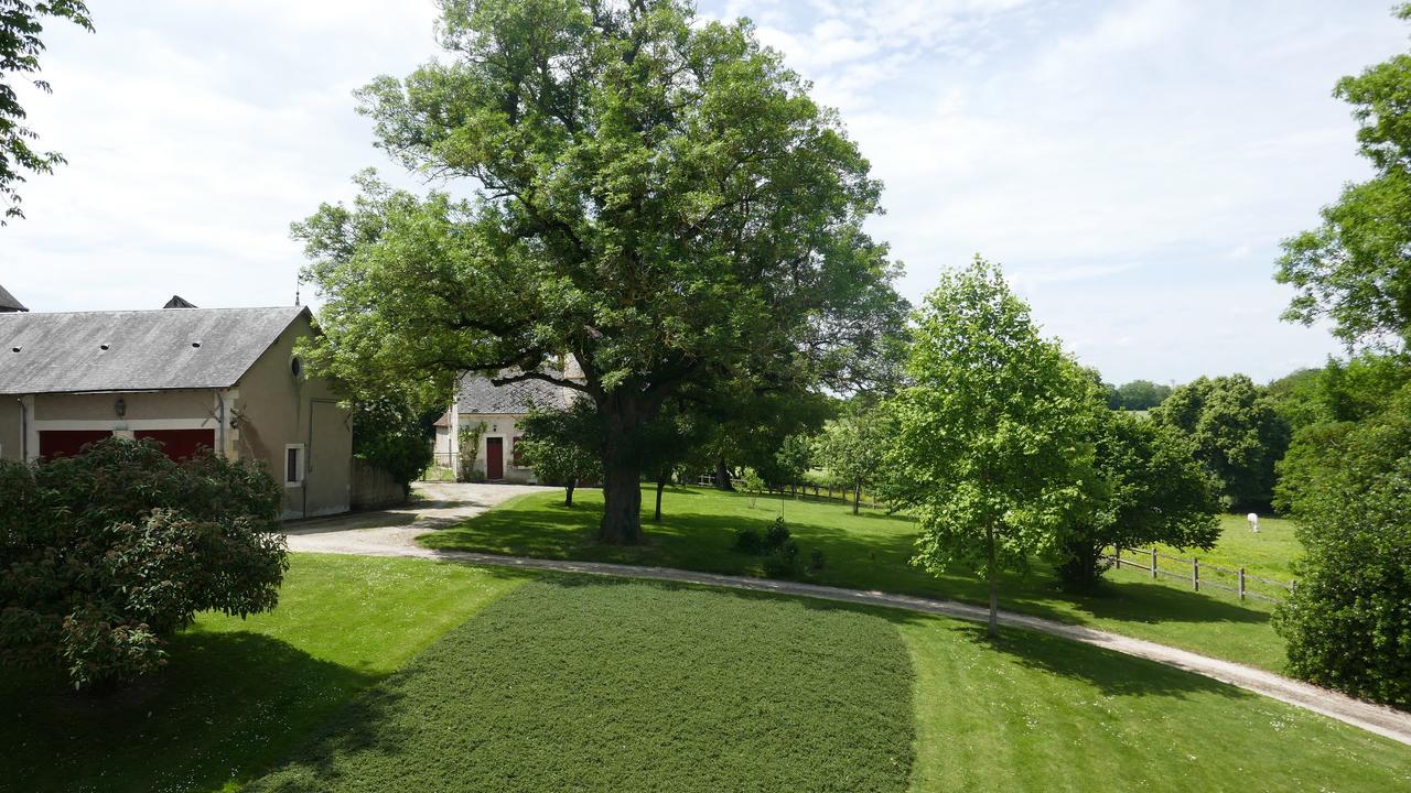 B&B Chateau De Preuil Vallenay Exterior photo